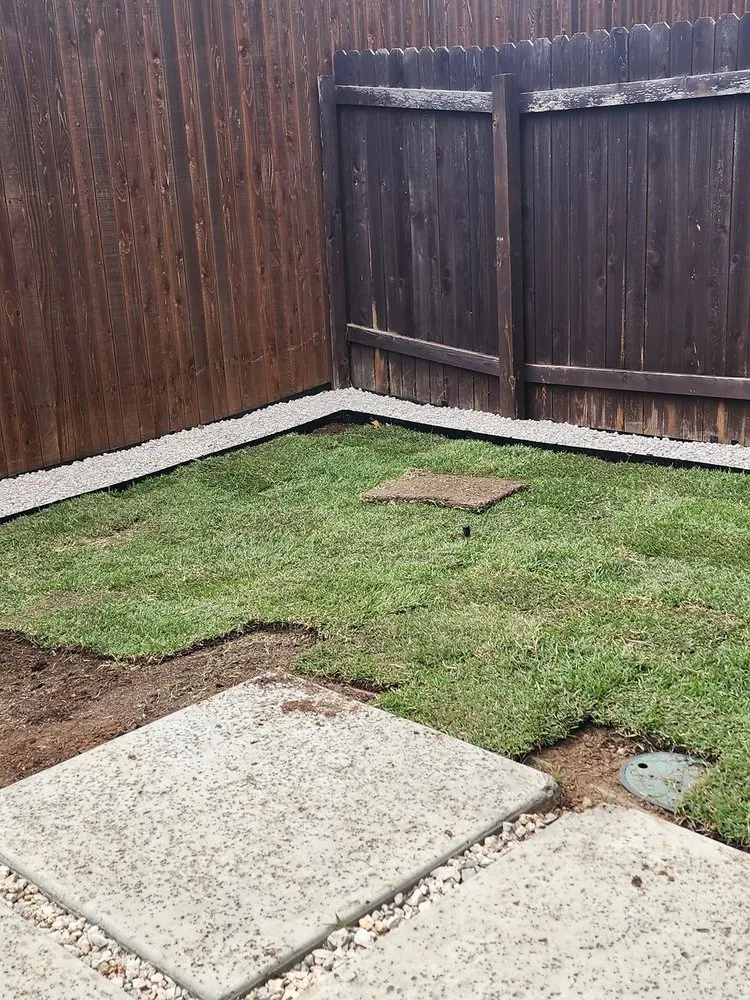 Affordable landscaping services for year-round maintenance across Austin, TX - Adam's Lawn Service Austin
