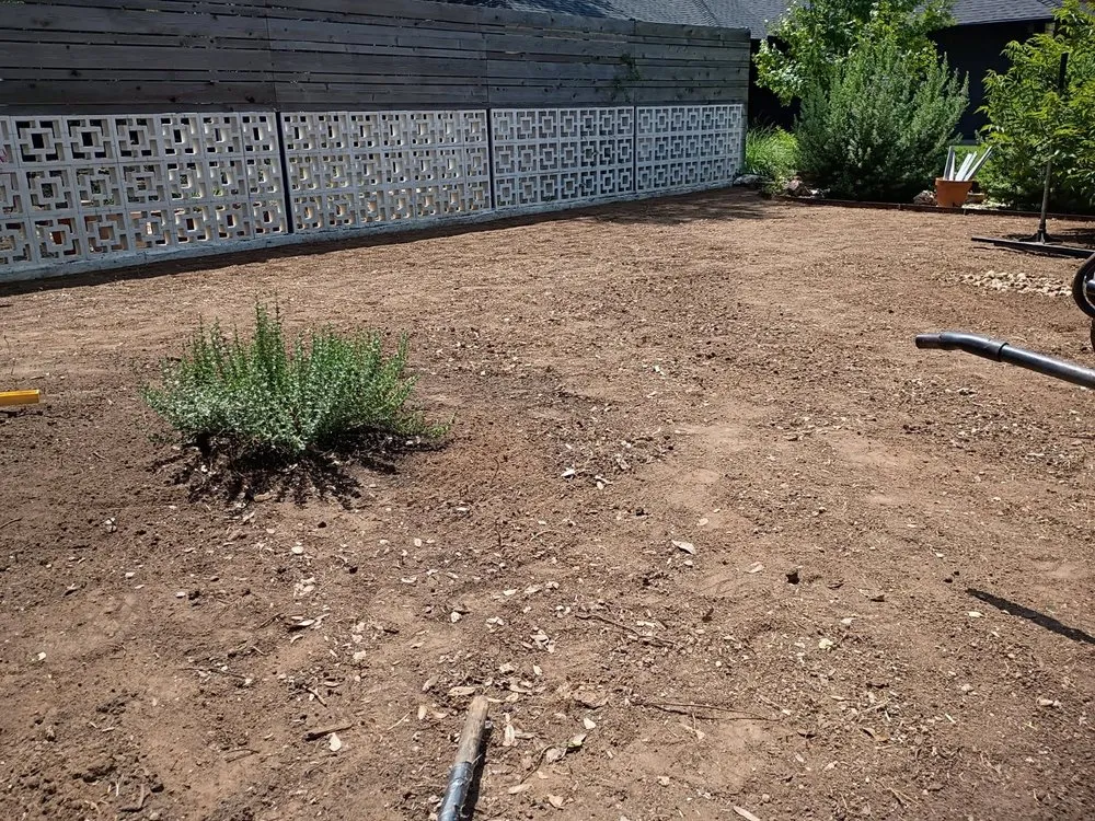 Local lawn care service for homes across Austin, TX - Adam's Lawn Service Austin