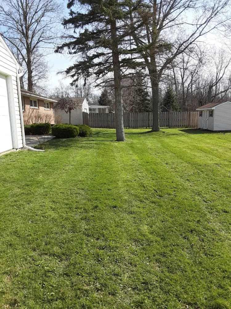 Affordable lawn care service for beautiful yards across Buffalo, NY - Adam's Lawn Service
