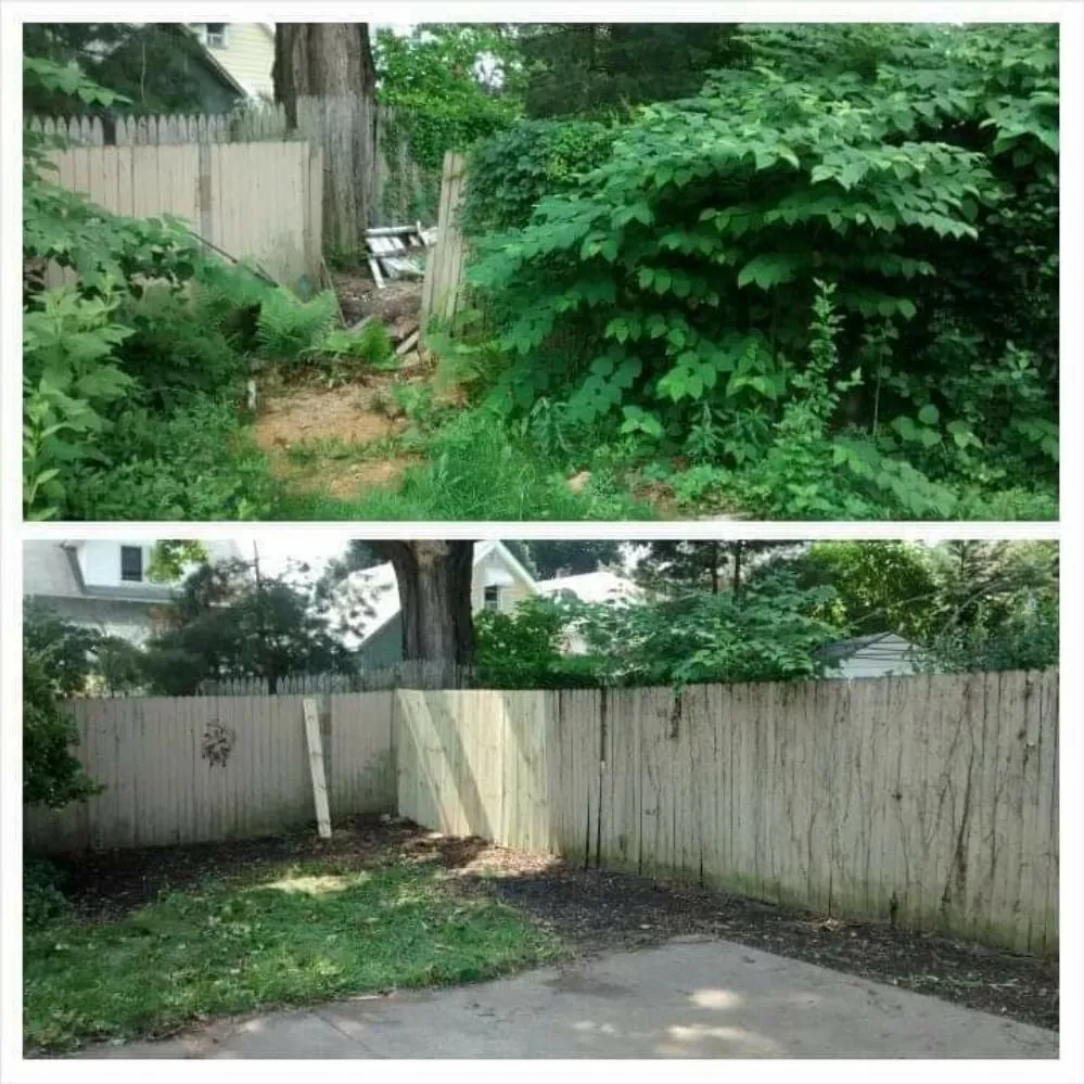 Custom landscape installation experts serving Buffalo, NY - Adam's Lawn Service