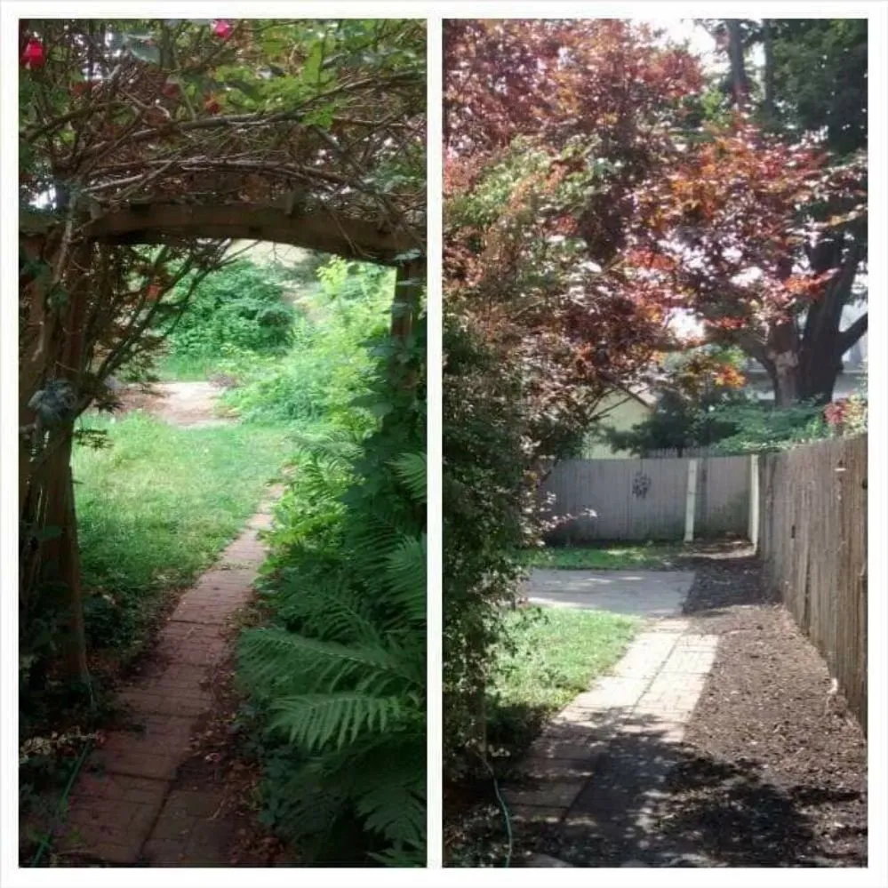 Custom yard maintenance experts serving Buffalo, NY - Adam's Lawn Service