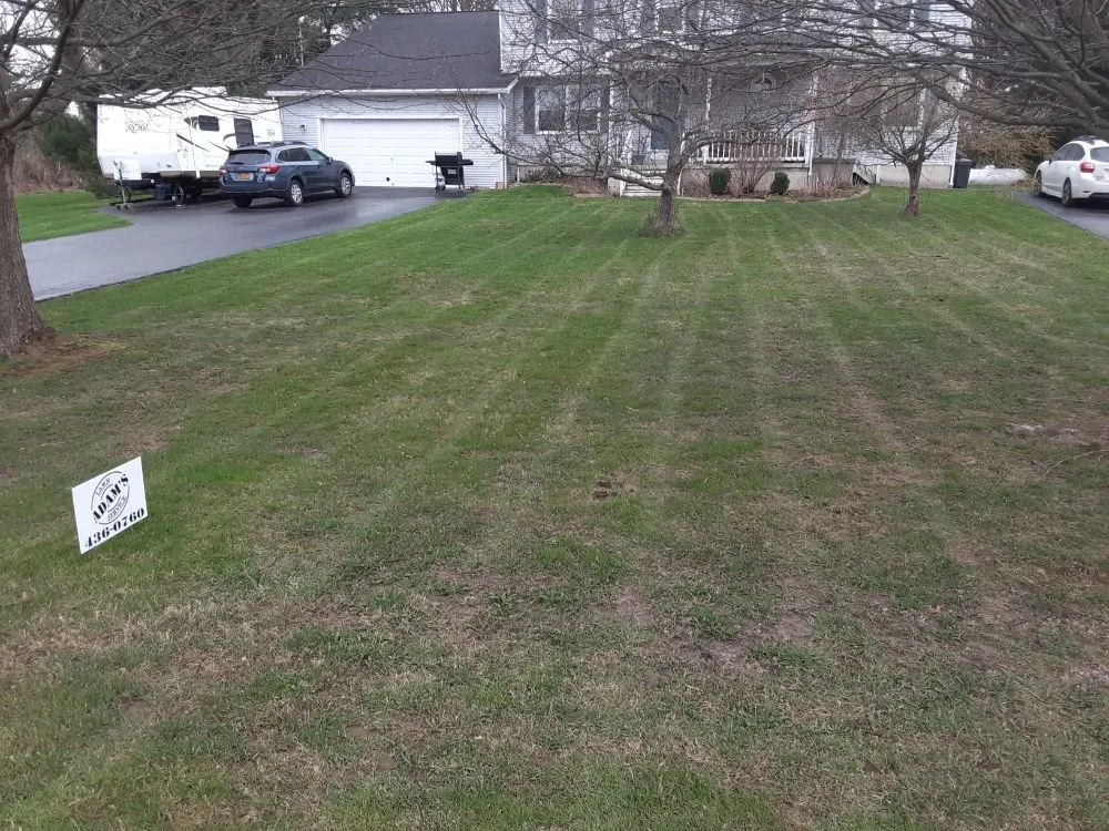 Top-rated lawn mowing service experts serving Buffalo, NY - Adam's Lawn Service