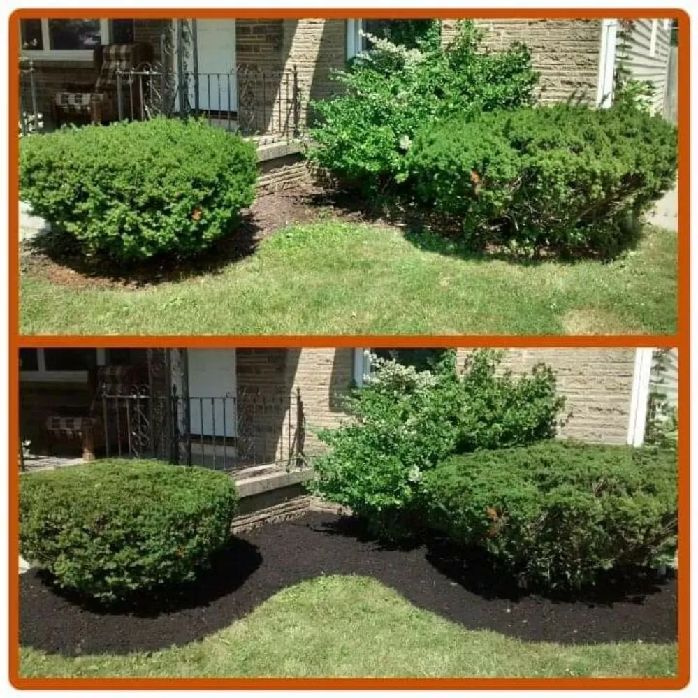Professional garden landscaping for homes in Buffalo, NY by Adam's Lawn Service