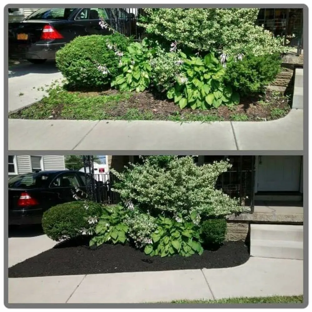 Expert landscape design in Buffalo, NY - Adam's Lawn Service