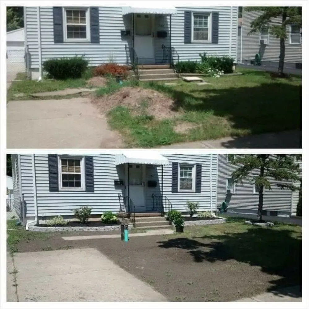 Professional landscaping services in Buffalo, NY - Adam's Lawn Service