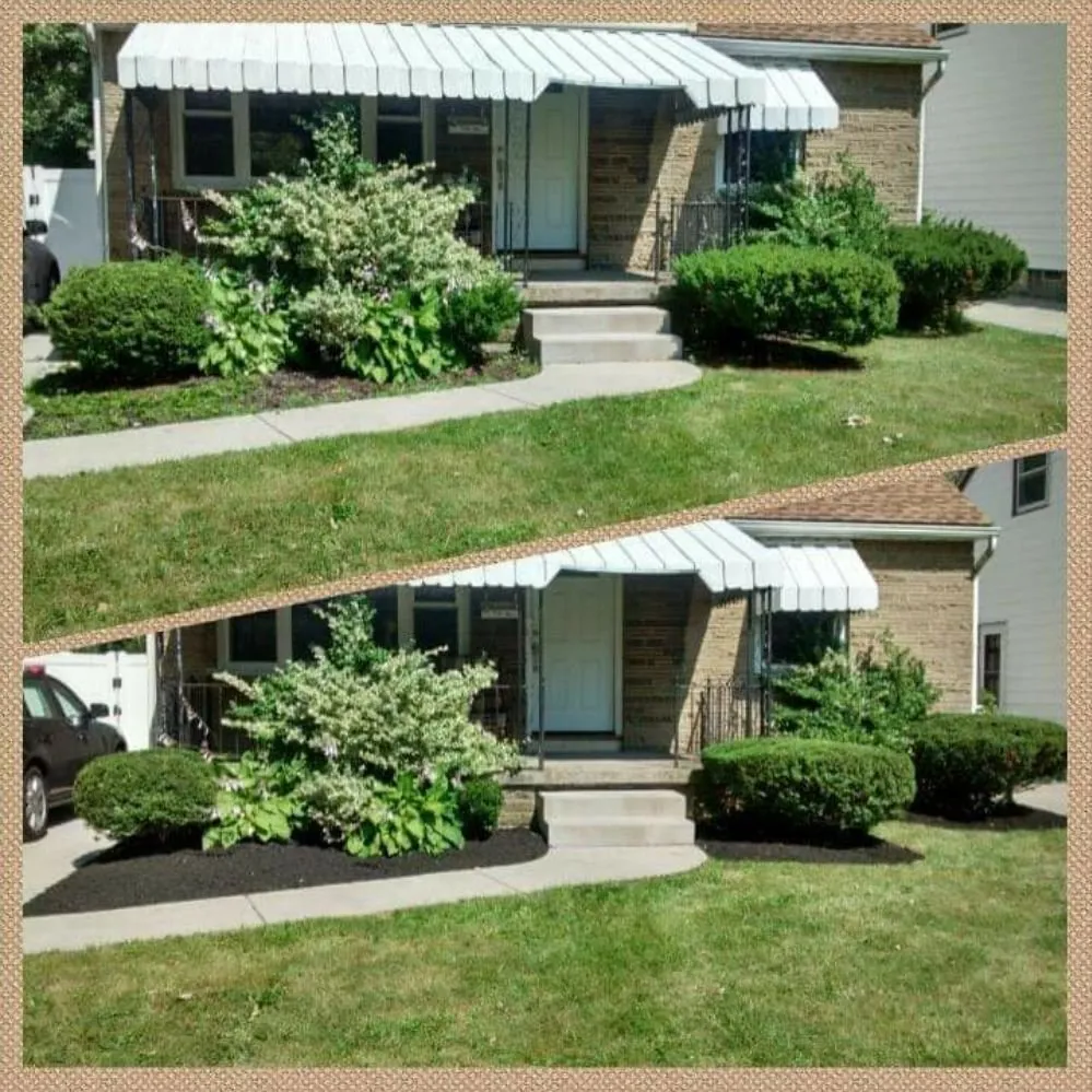 Top-rated outdoor landscaping experts serving Buffalo, NY - Adam's Lawn Service