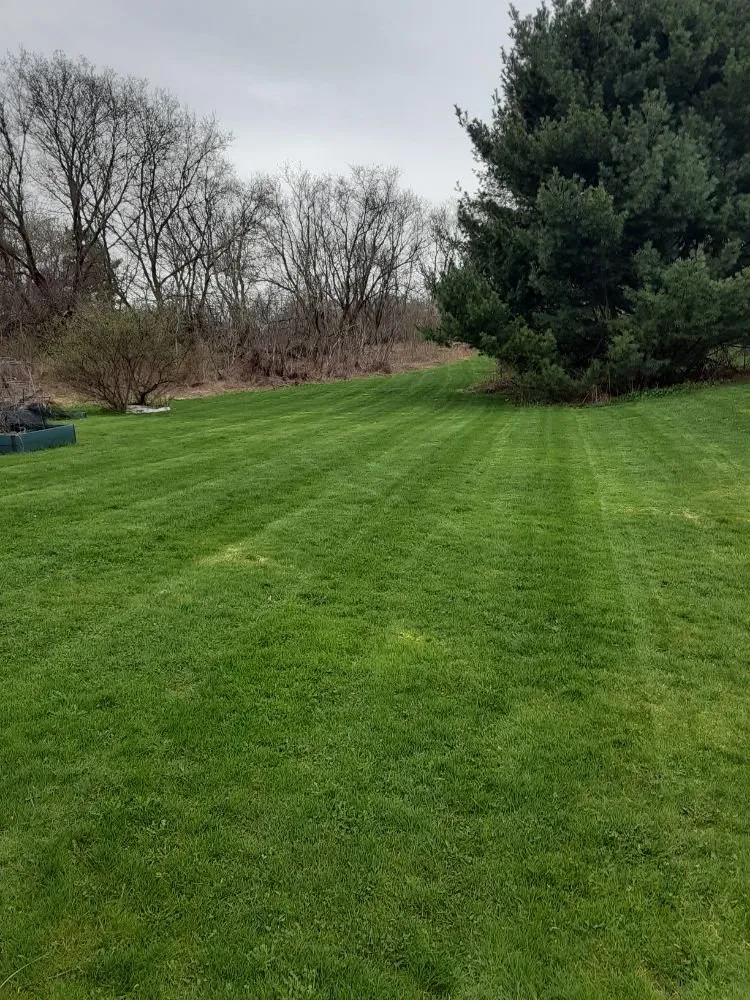 Reliable residential landscaping experts serving Buffalo, NY - Adam's Lawn Service
