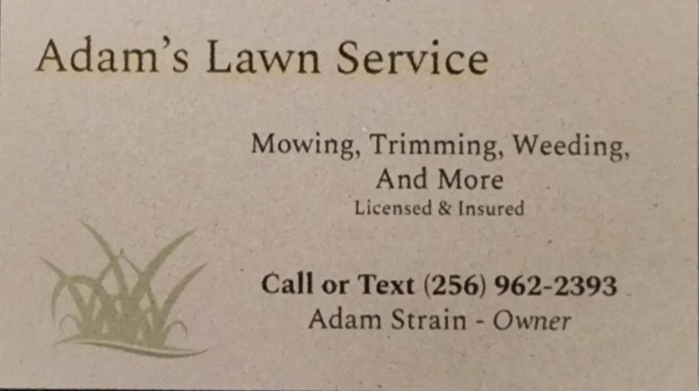 Local yard cleanup service experts serving Cullman, AL - Adam's Lawn Service