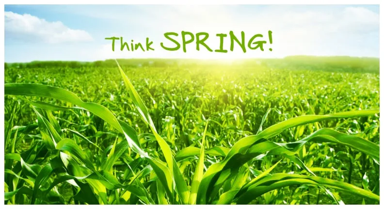 Top-rated residential landscaping in Manchester, CT - Adam's Lawn Service