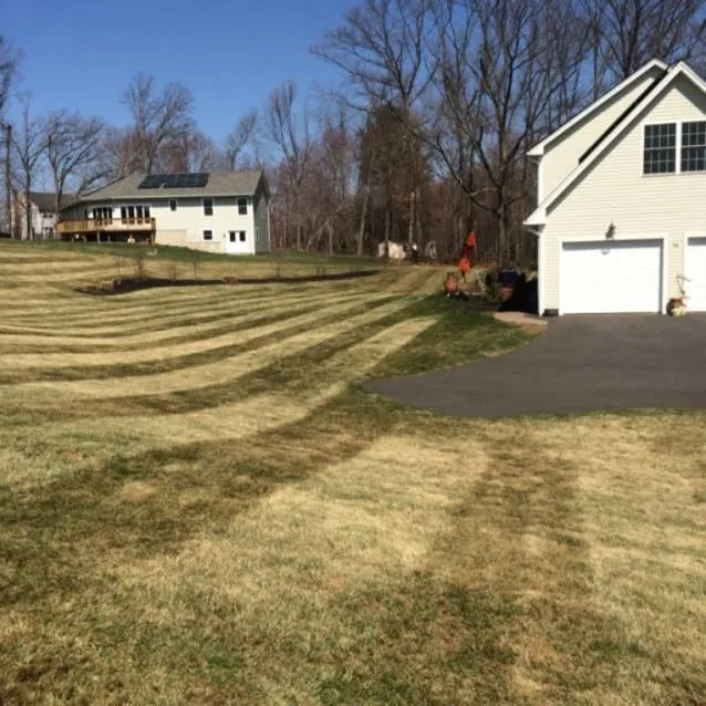 Local landscape design for beautiful yards in Manchester, CT by Adam's Lawn Service