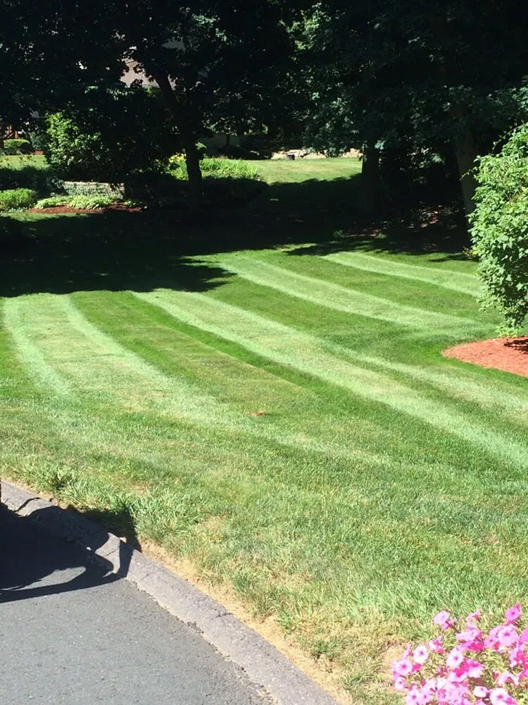 Local landscape installation in Manchester, CT - Adam's Lawn Service