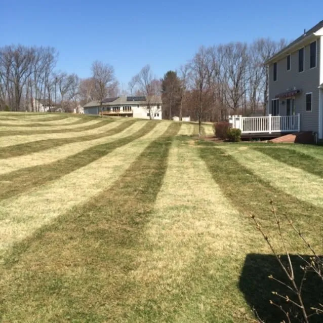 Expert yard maintenance experts serving Manchester, CT - Adam's Lawn Service
