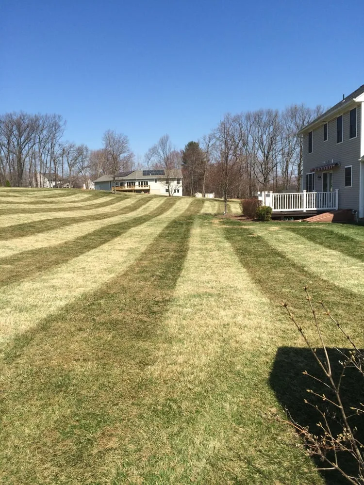 Local lawn care service in Manchester, CT by Adam's Lawn Service