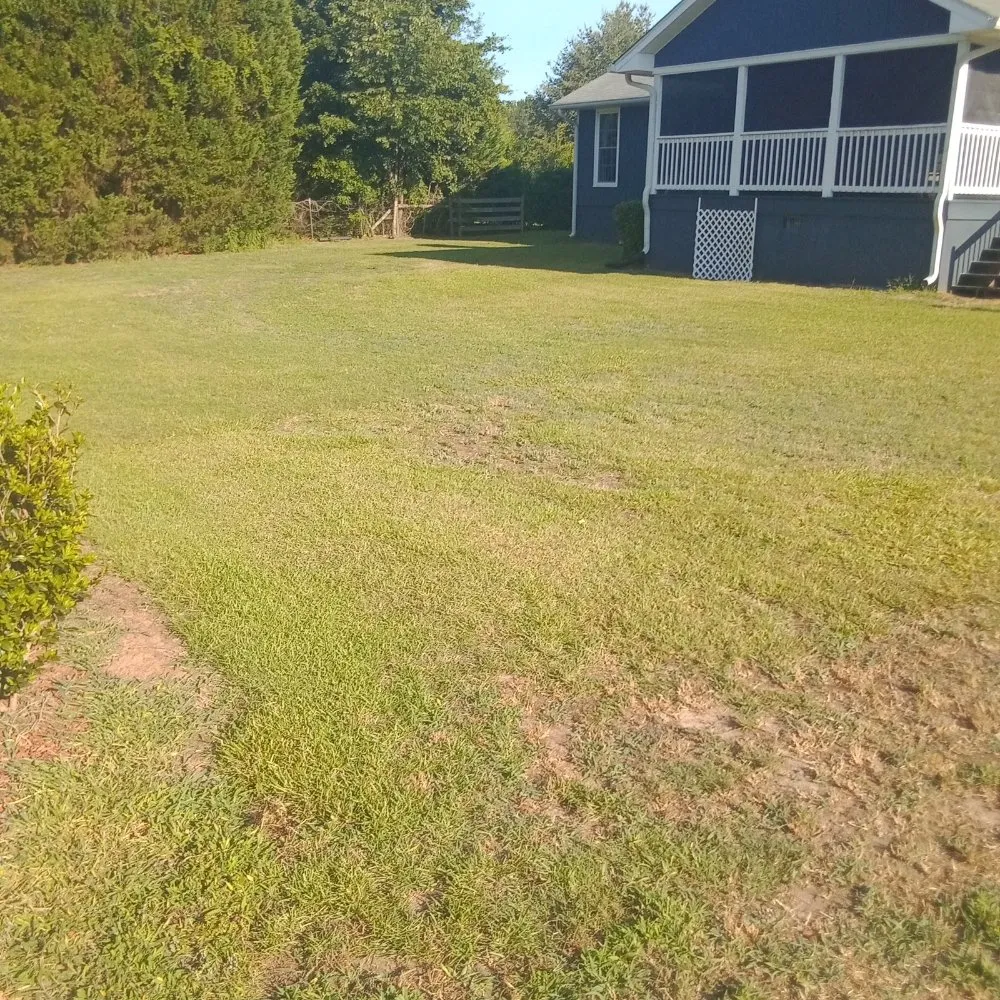 Top-rated yard maintenance in Macon, GA - Adams Lawn Services