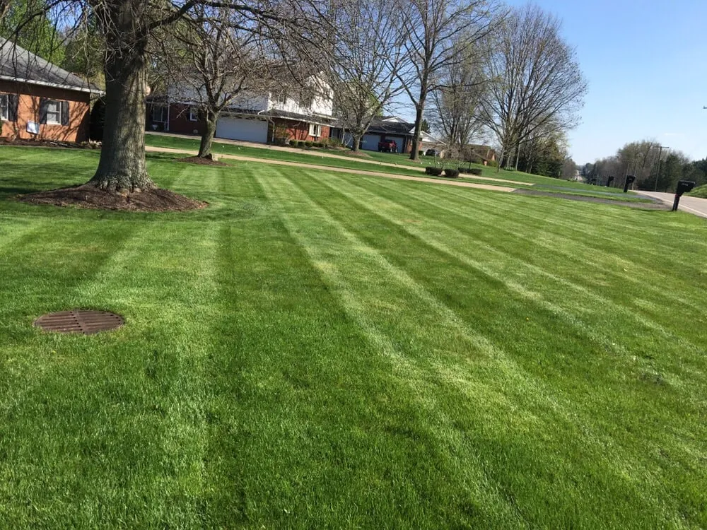 Expert landscaping services experts serving Massillon, OH - Adams Lawncare