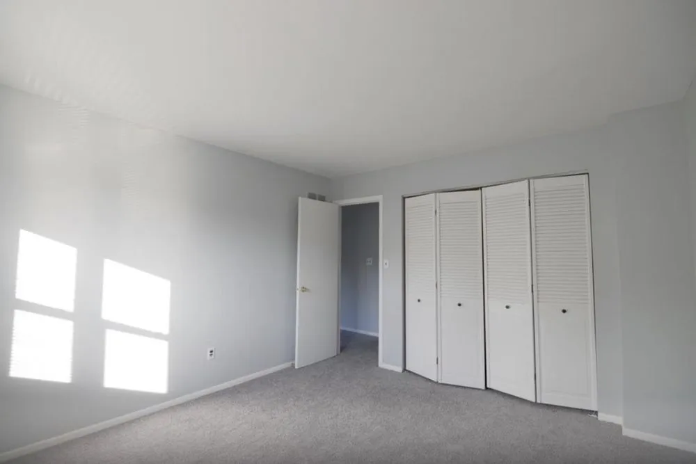 Custom yard cleanup service in Wilmington, DE by Adams Multiples Service