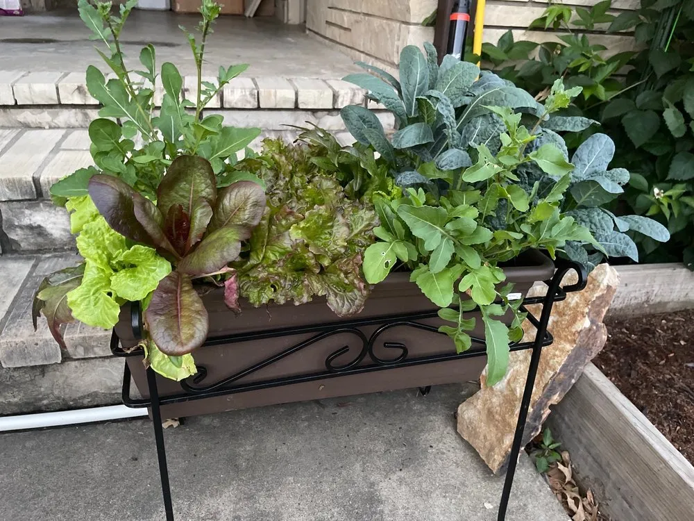 Affordable landscape design in Paragould, AR - Adams Nursery