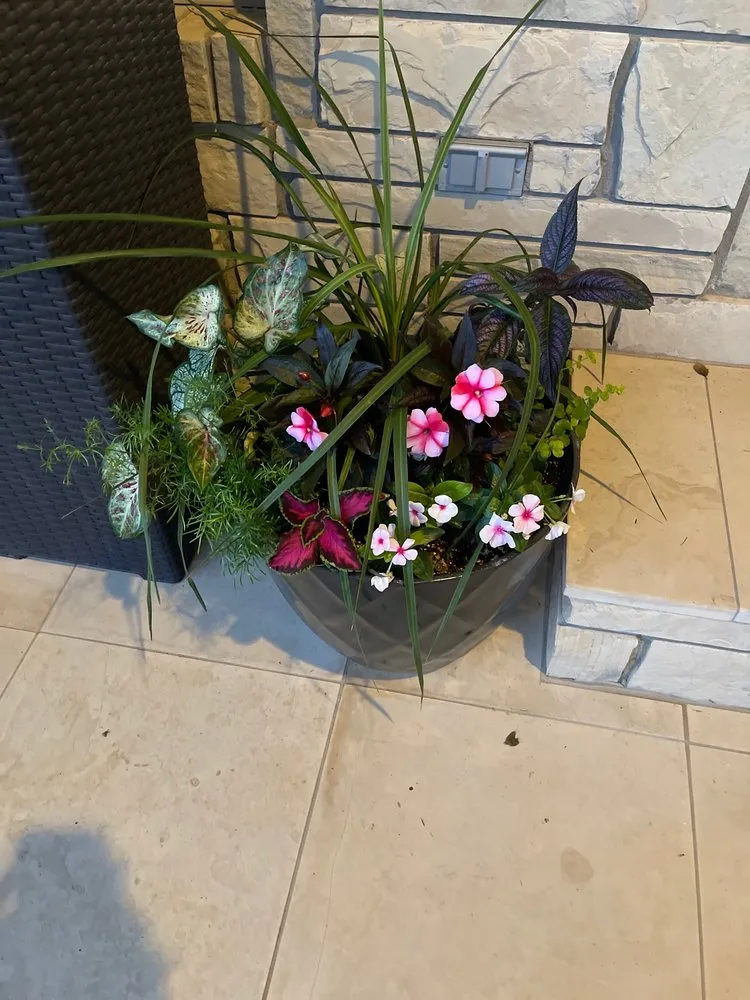 Local garden landscaping for outdoor upgrades across Paragould, AR - Adams Nursery