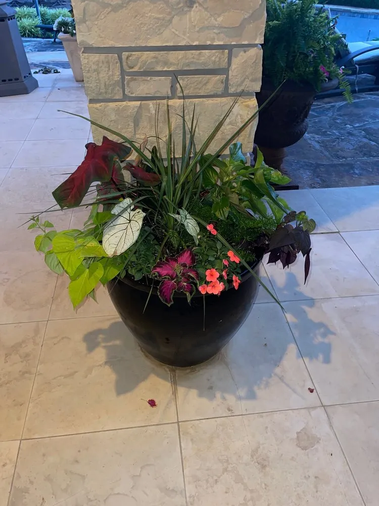 Affordable landscape installation experts serving Paragould, AR - Adams Nursery