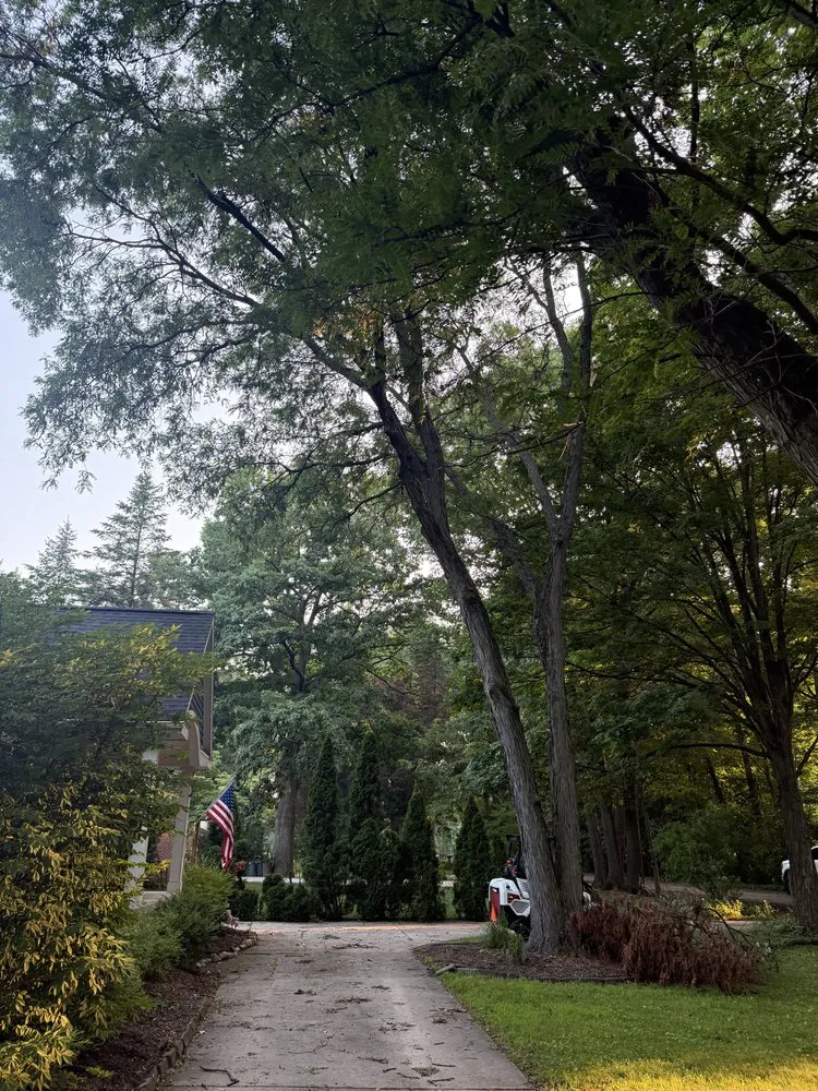 Local landscape design experts serving Plymouth, MI - Adam’s Outdoor Services Plus