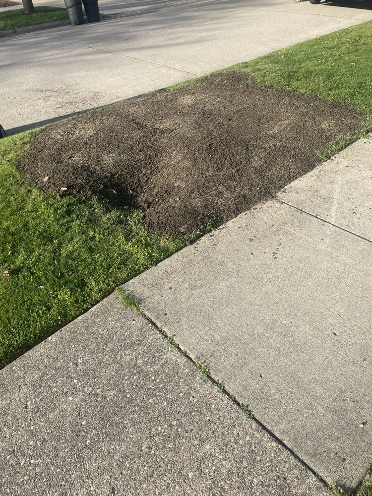 Trusted garden landscaping experts serving Plymouth, MI - Adam’s Outdoor Services Plus