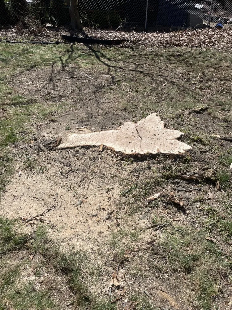 Professional garden landscaping for beautiful yards in Plymouth, MI by Adam’s Outdoor Services Plus