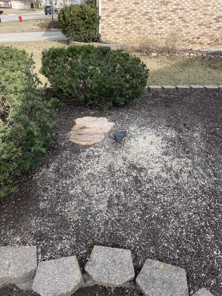 Local landscape design in Plymouth, MI by Adam’s Outdoor Services Plus