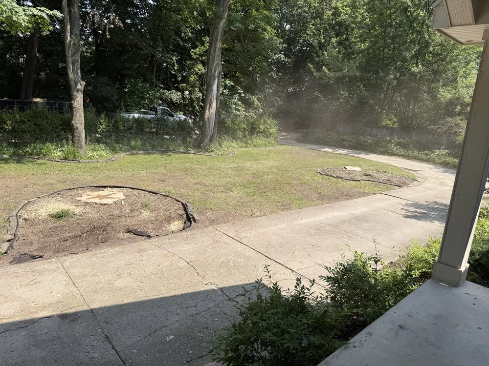 Affordable yard cleanup service in Plymouth, MI - Adam’s Outdoor Services Plus