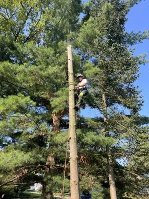 Adam’s Outdoor Services Plus