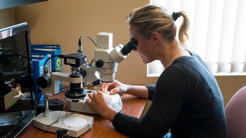 Trusted lawn care service in Medina, MN by Adam's Pest Control