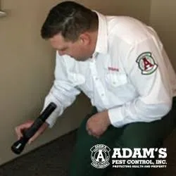 Top-rated landscape design near you in Medina, MN by Adam's Pest Control