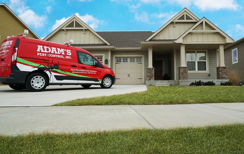 Top-rated yard cleanup service for outdoor upgrades in Medina, MN by Adam's Pest Control