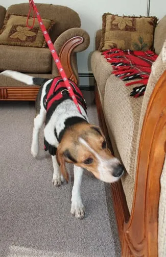 Reliable landscaping services experts serving Medina, MN - Adam's Pest Control