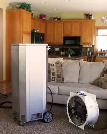 Affordable yard cleanup service with custom design across Medina, MN - Adam's Pest Control