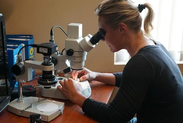 Trusted landscaping services in Medina, MN by Adam's Pest Control