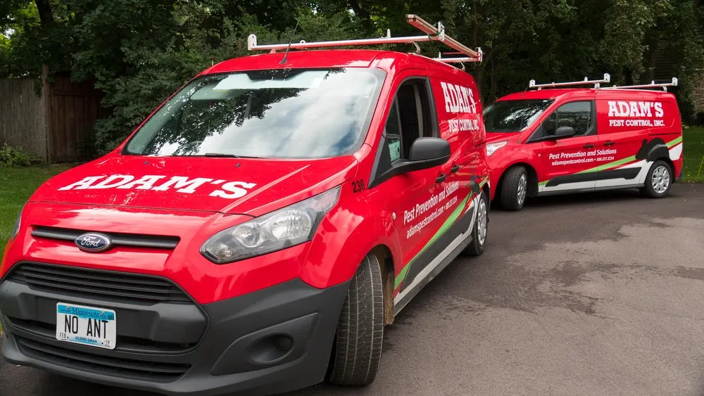 Reliable landscaping services for homes across Medina, MN - Adam's Pest Control