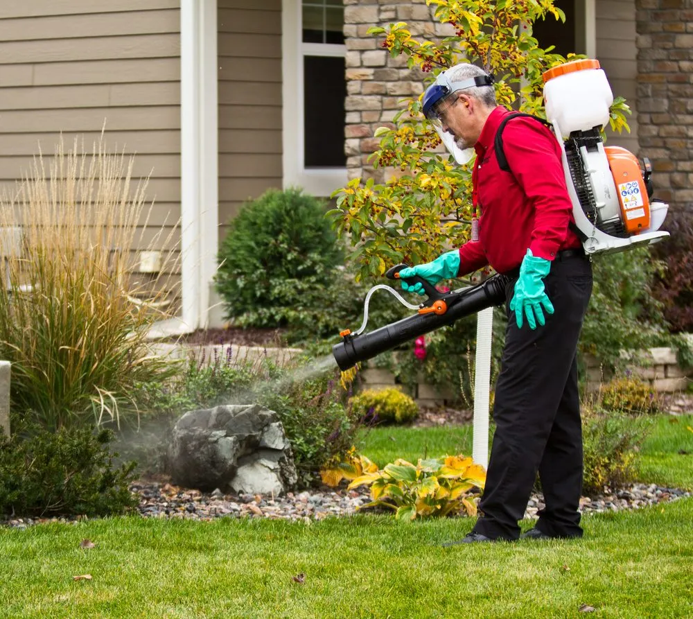 Expert landscaping services near you across Medina, MN - Adam's Pest Control
