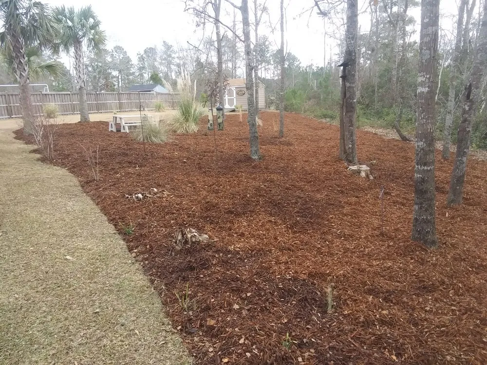 Top-rated outdoor landscaping for residential properties across Leland, NC - Adams Property Care