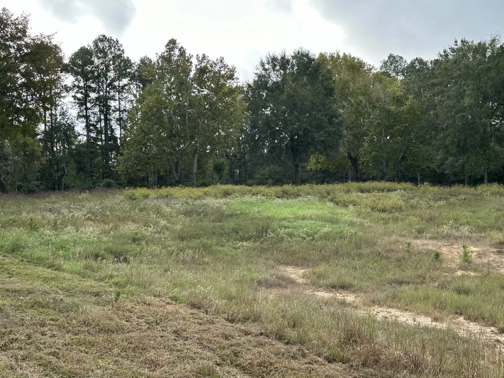 Trusted yard cleanup service for beautiful yards in Huntsville, TX by Adams Property Services