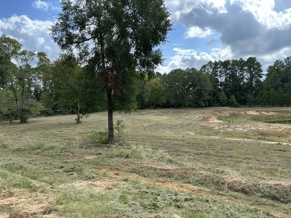 Local yard maintenance in Huntsville, TX - Adams Property Services