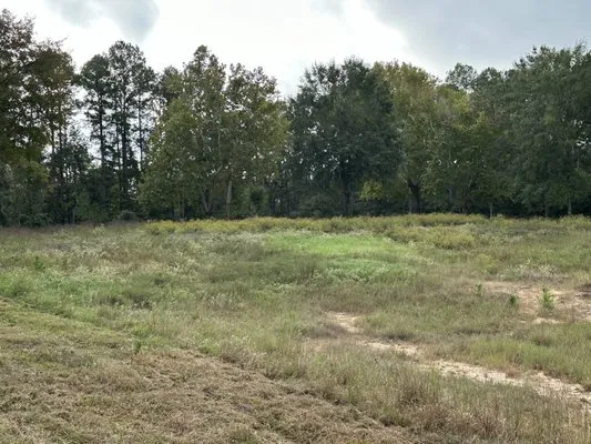 Adams Property Services Logo