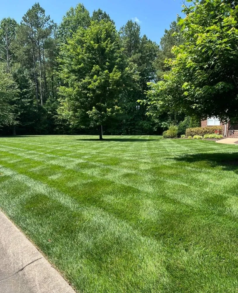 Expert yard cleanup service experts serving Danville, VA - Adams Property Solutions