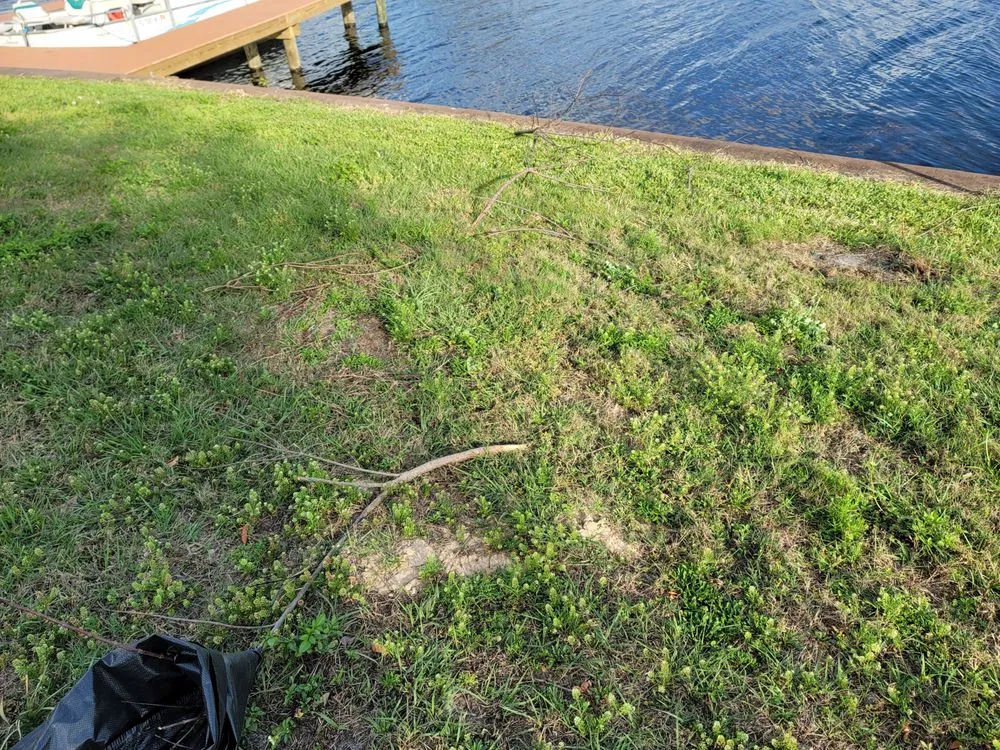 Affordable landscaping services for outdoor upgrades across Hernando, FL - Adams Property Solutions