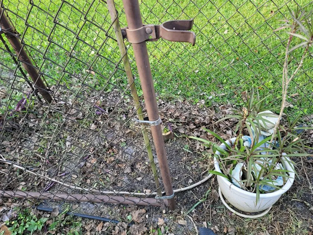 Top-rated yard cleanup service experts serving Hernando, FL - Adams Property Solutions