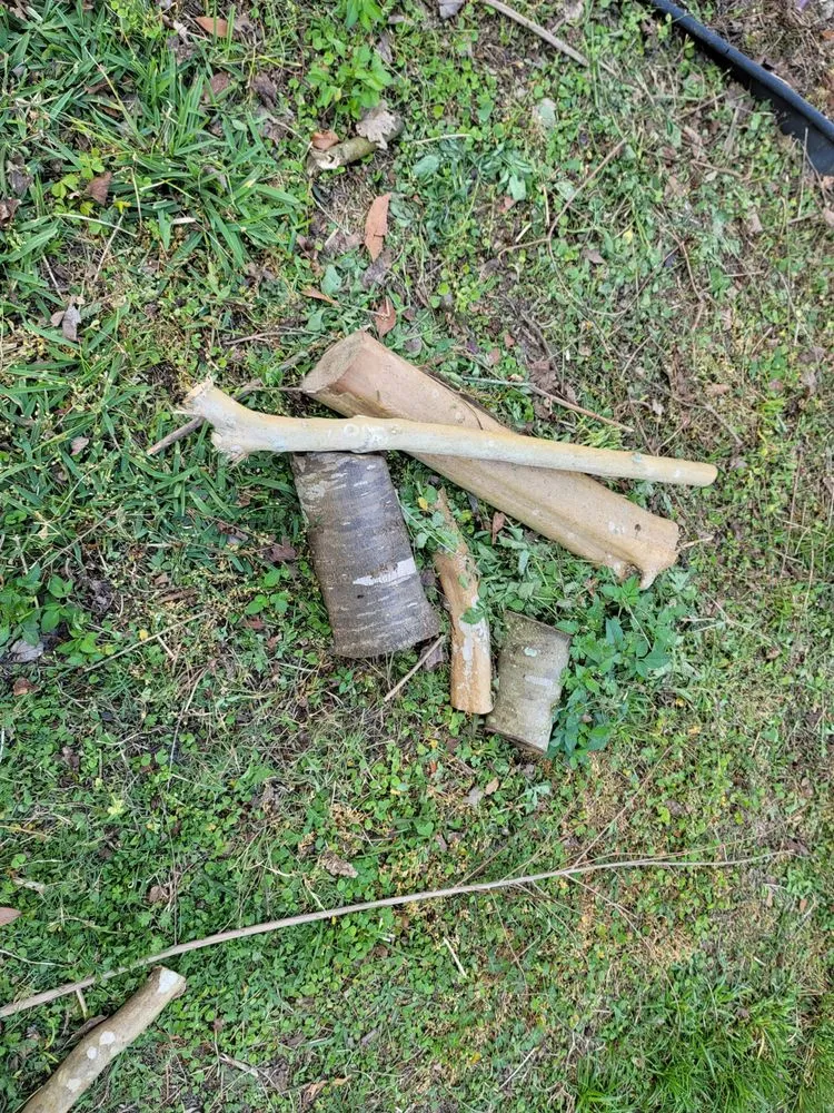 Local lawn care service for outdoor upgrades across Hernando, FL - Adams Property Solutions