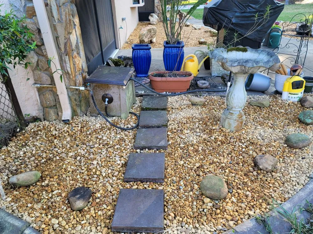 Top-rated landscape installation experts serving Hernando, FL - Adams Property Solutions