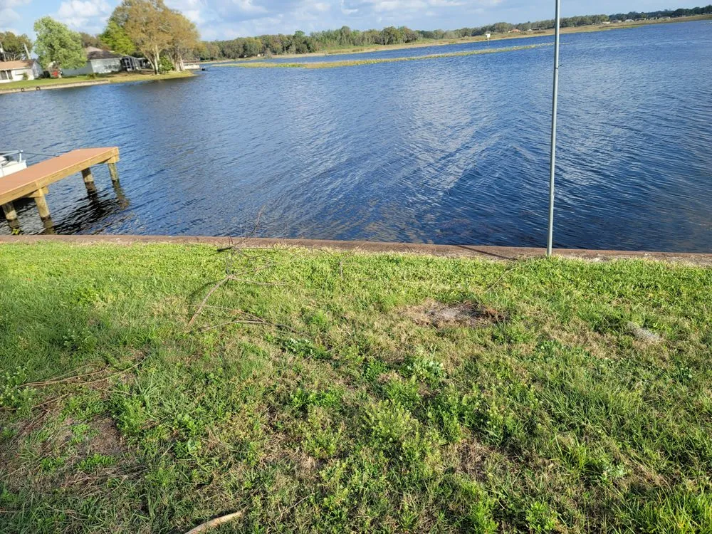 Custom landscaping services for beautiful yards across Hernando, FL - Adams Property Solutions