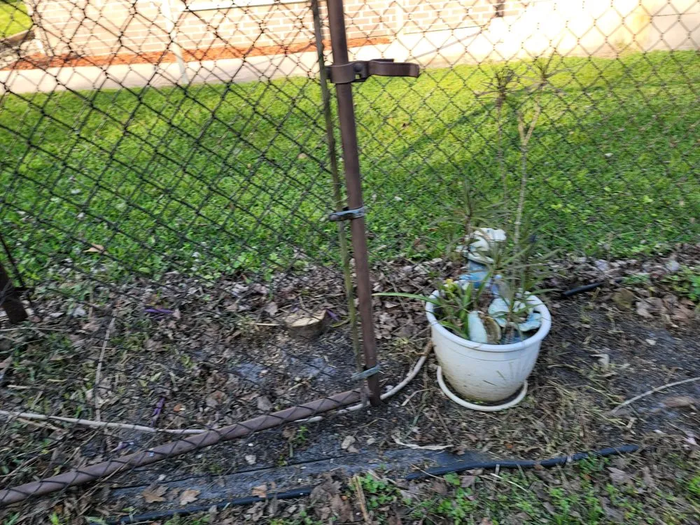 Reliable yard cleanup service in Hernando, FL - Adams Property Solutions