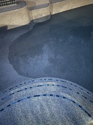 Adams Swimming Pool & Landscape Remodeling Logo