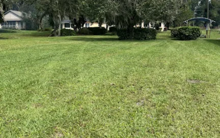 Affordable landscape design in Melrose, FL - Adams Total Lawn Care And More